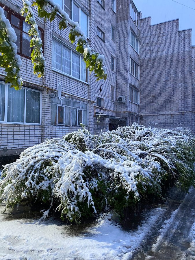 Жители Тверской области показали последствия снежной бури в мае