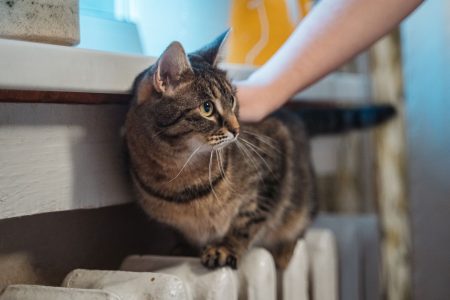 Майская жара придет в Тверскую область ненадолго