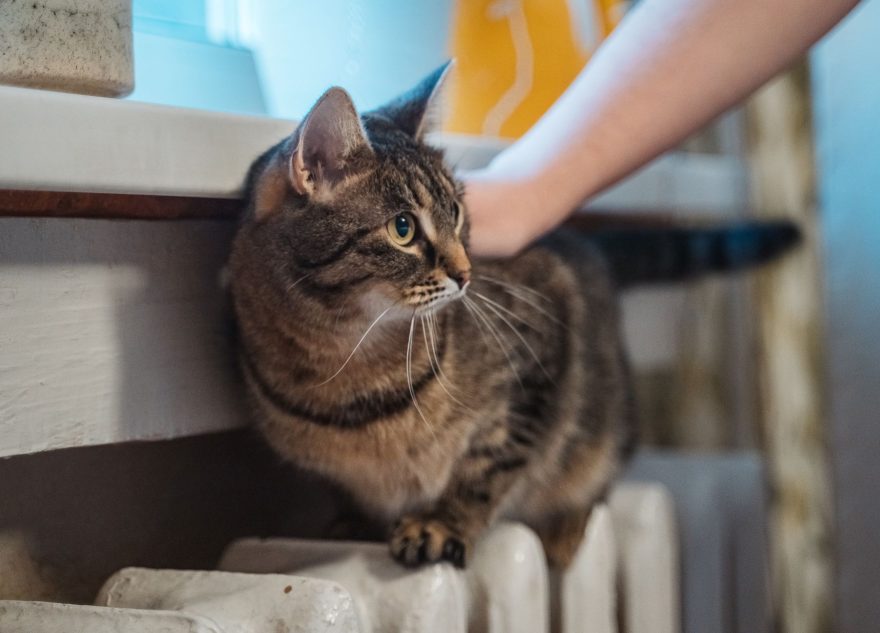 Майская жара придет в Тверскую область ненадолго