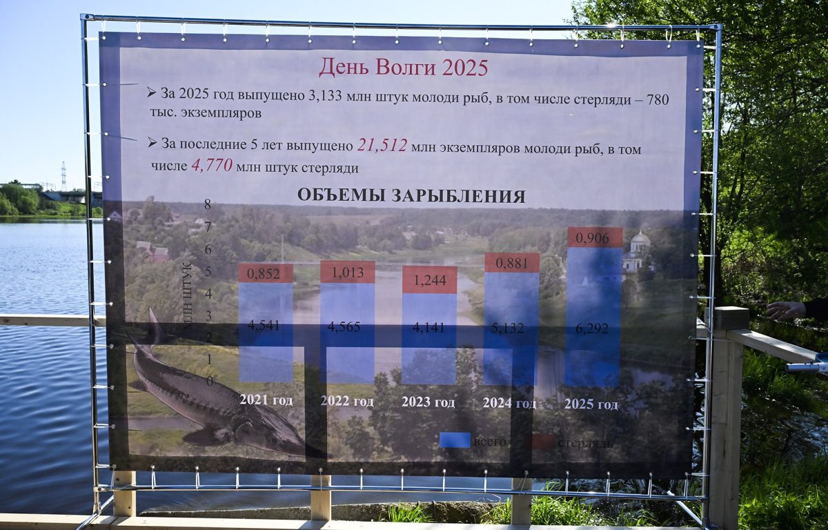 Игорь Руденя вместе с суворовцами и юннатами выпустил в Волгу молодь стерляди