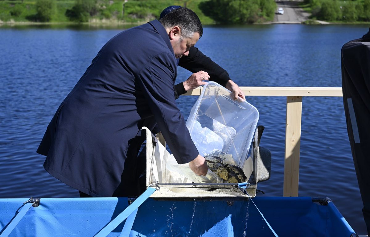 Игорь Руденя вместе с суворовцами и юннатами выпустил в Волгу молодь стерляди