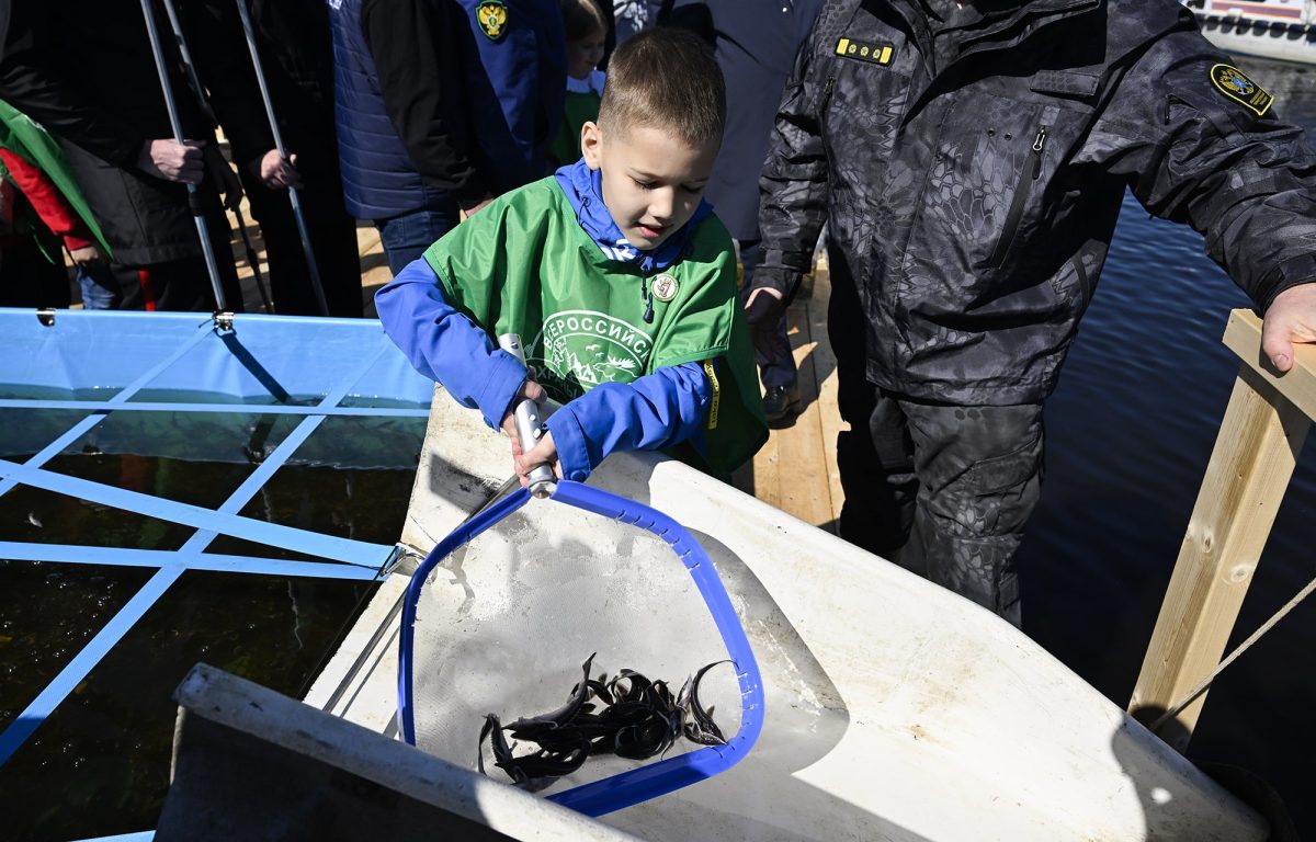 Игорь Руденя вместе с суворовцами и юннатами выпустил в Волгу молодь стерляди