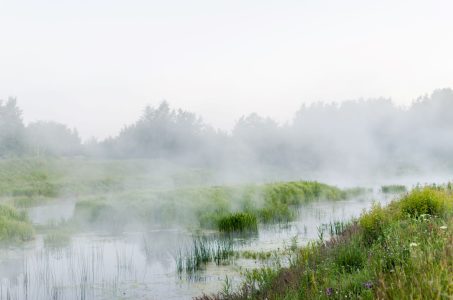 Пеките пироги и слушайте кукушку: приметы на 5 мая Пеките пироги и слушайте кукушку: приметы на 5 мая