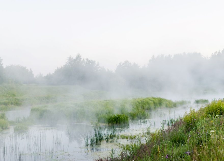 Пеките пироги и слушайте кукушку: приметы на 5 мая