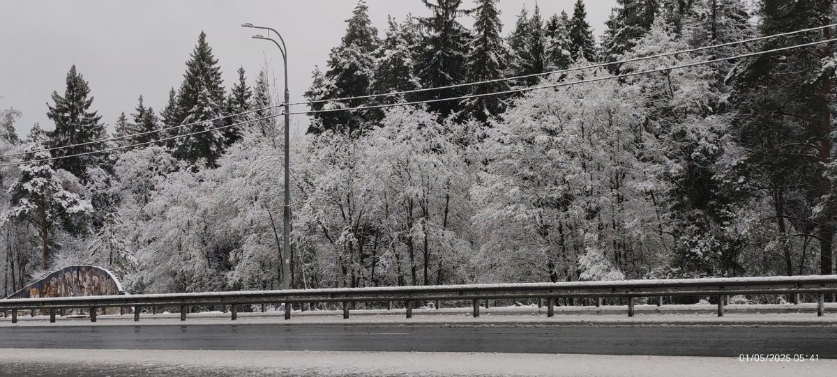 Жители Тверской области делятся фотографиями "майской зимы"