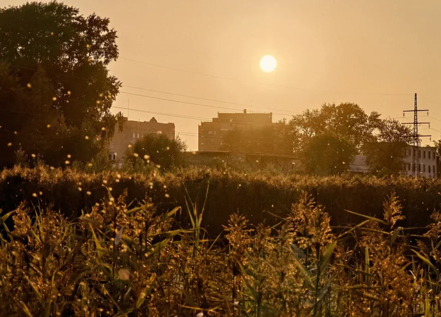 Климатологи предсказали катастрофу через 15 лет