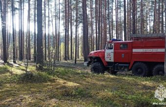 В Тверской области начались лесные пожары В Тверской области начались лесные пожары