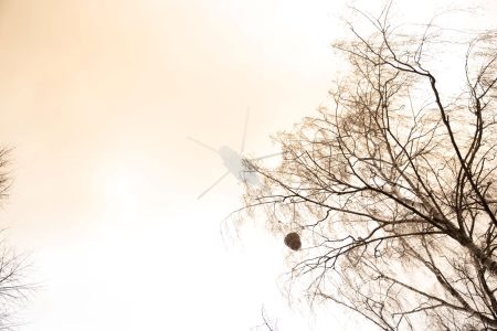 Жителям Тверской области рассказали, как сжечь мусор на даче без штрафа Жителям Тверской области рассказали, как сжечь мусор на даче без штрафа