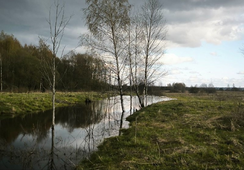 Волонтеры рассказали, как искали женщину с деменцией в Тверской области