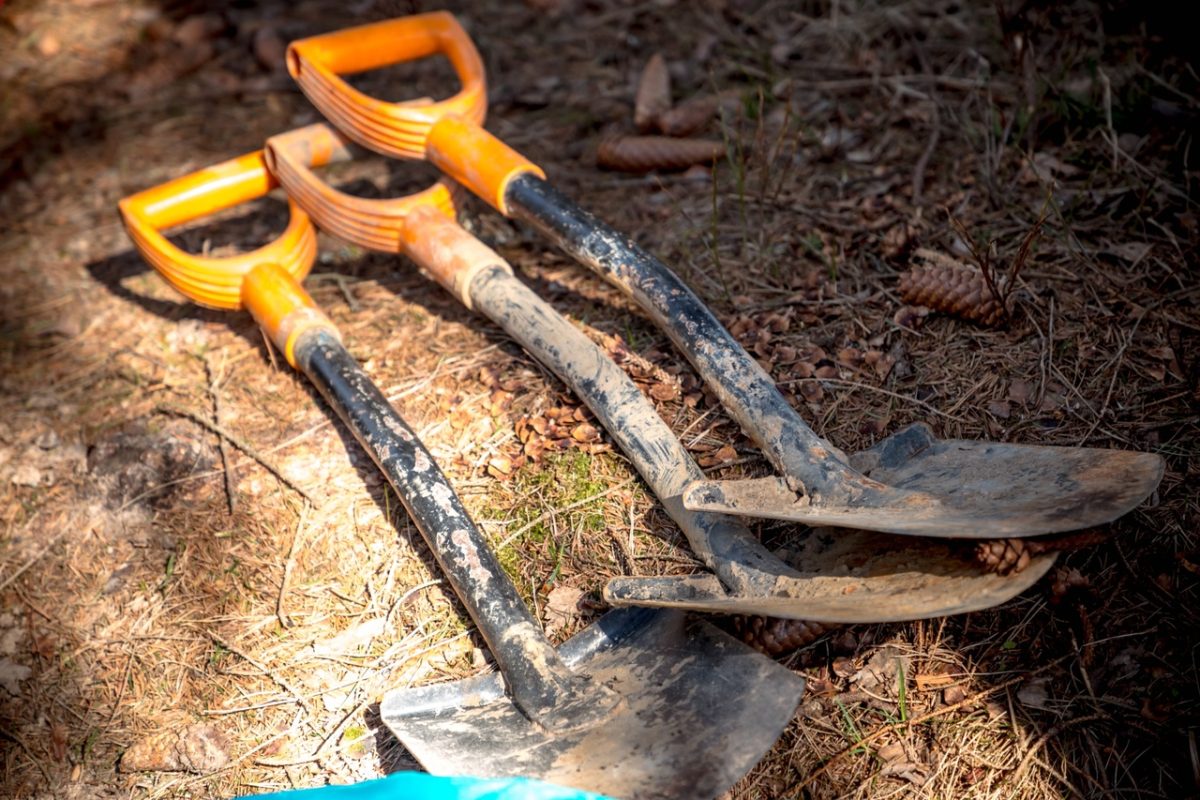 Четыре поисковые организации Тверской области получат поддержку на проведение экспедиций