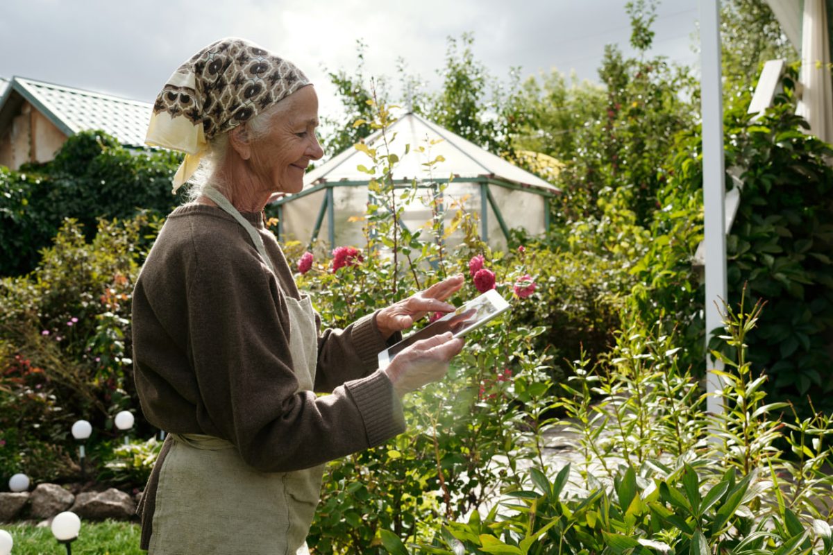 Накануне майских праздников вырос интерес россиян к спорту, походному туризму и дачам