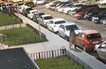 В Твери ищут женщину, избивавшую машины сумкой