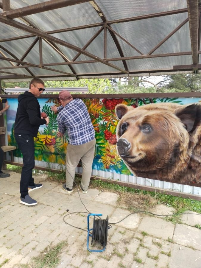 Деревенскую остановку в Тверской области превратили в произведение искусства