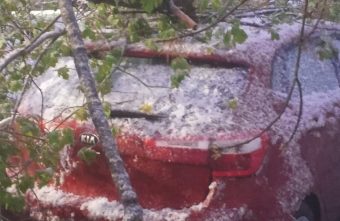 Жители Тверской области показали последствия снежной бури в мае