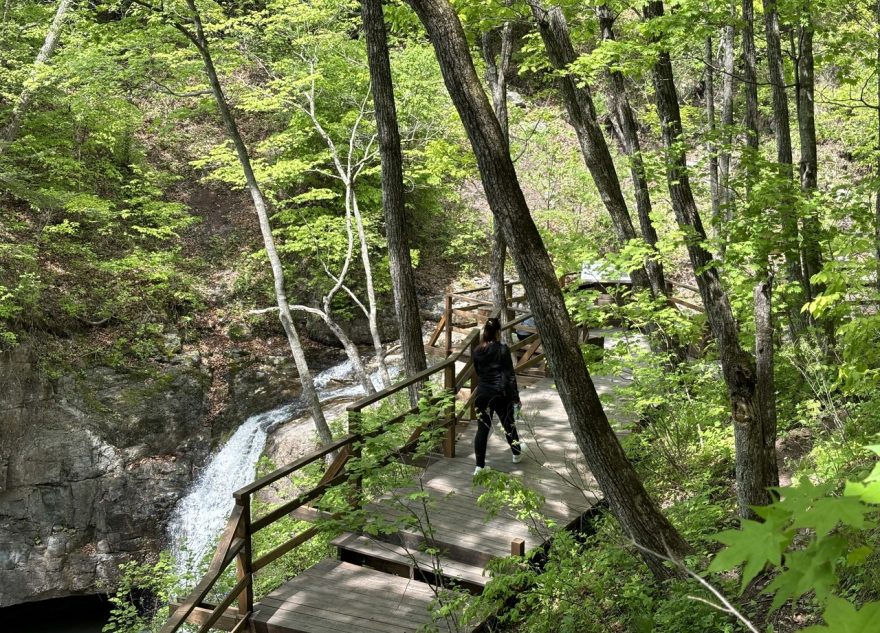 В нацпарке «Земля леопарда» открыта новая экотропа