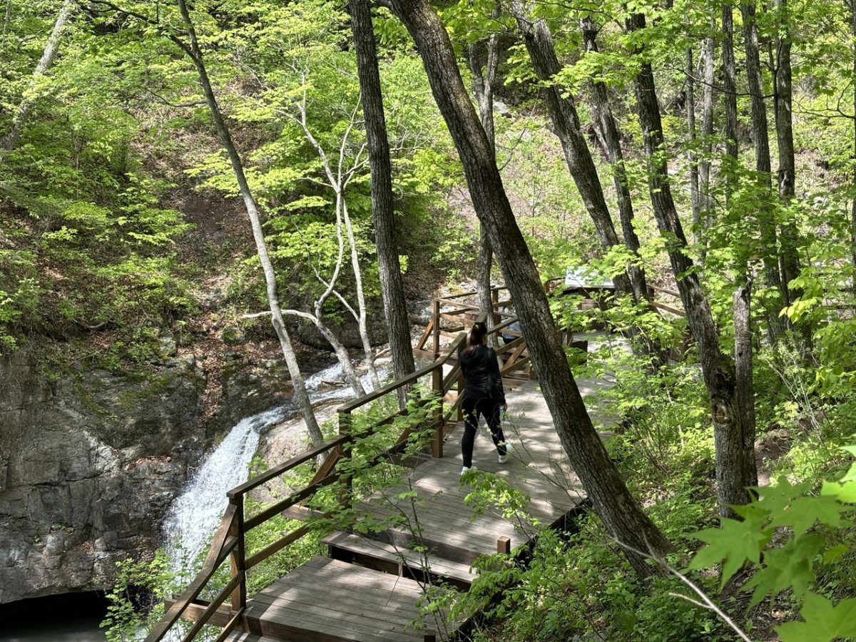 В нацпарке «Земля леопарда» открыта новая экотропа