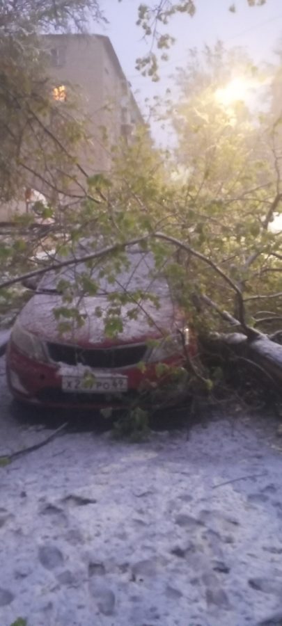 Жители Тверской области показали последствия снежной бури в мае