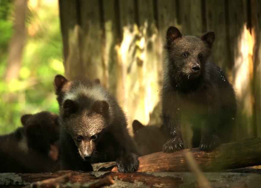 фотосессию