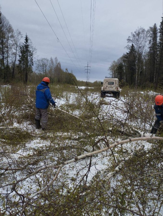В Тверской области восстанавливают электроснабжение после страшного снегопада