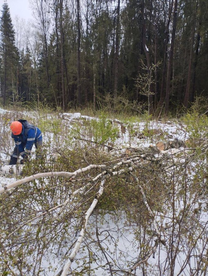 В Тверской области восстанавливают электроснабжение после страшного снегопада
