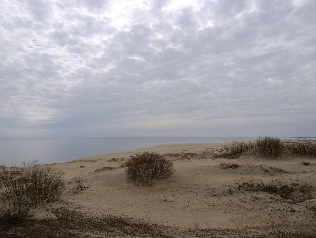 От Калининграда до Находки: МегаФон ускорил мобильный интернет для дачников и туристов