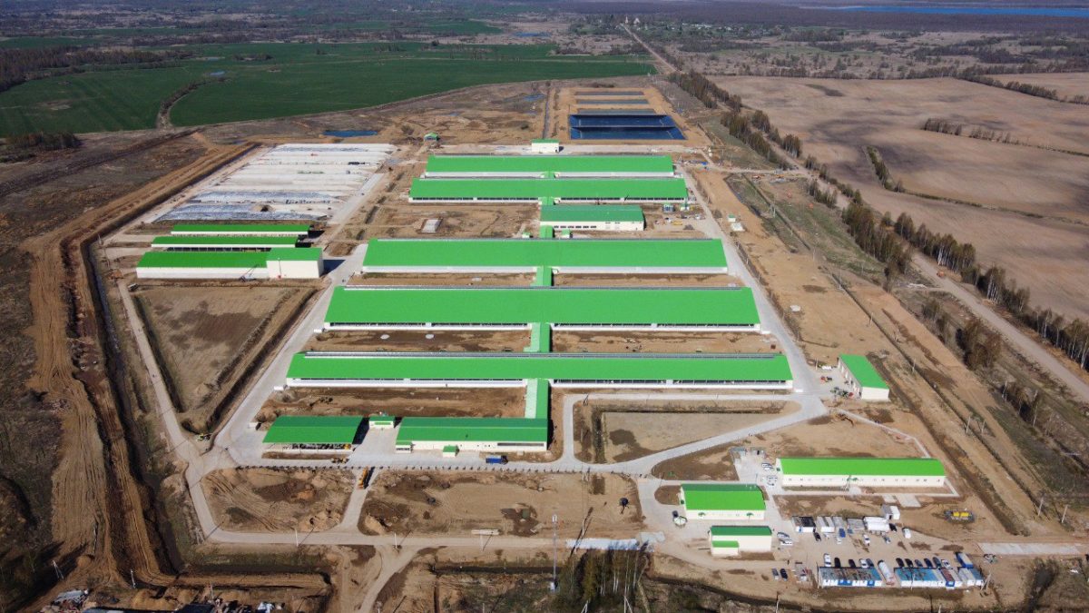 В Тверской области газифицировали крупный молочный животноводческий комплекс