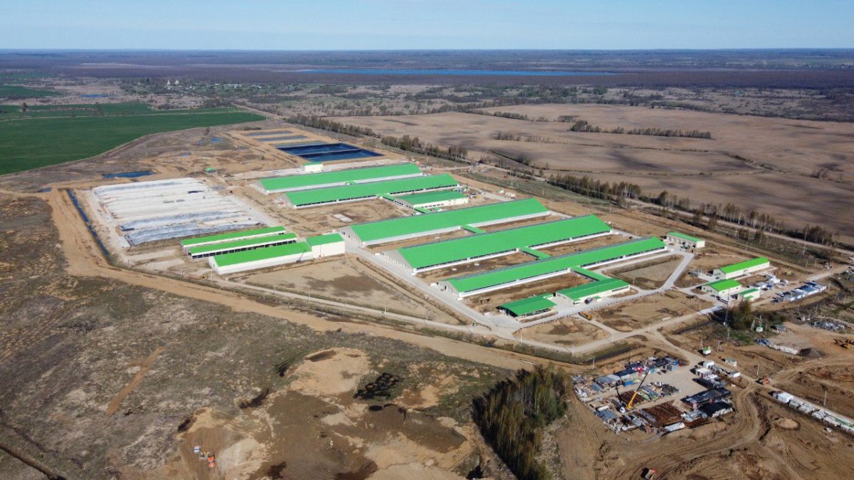 В Тверской области газифицировали крупный молочный животноводческий комплекс