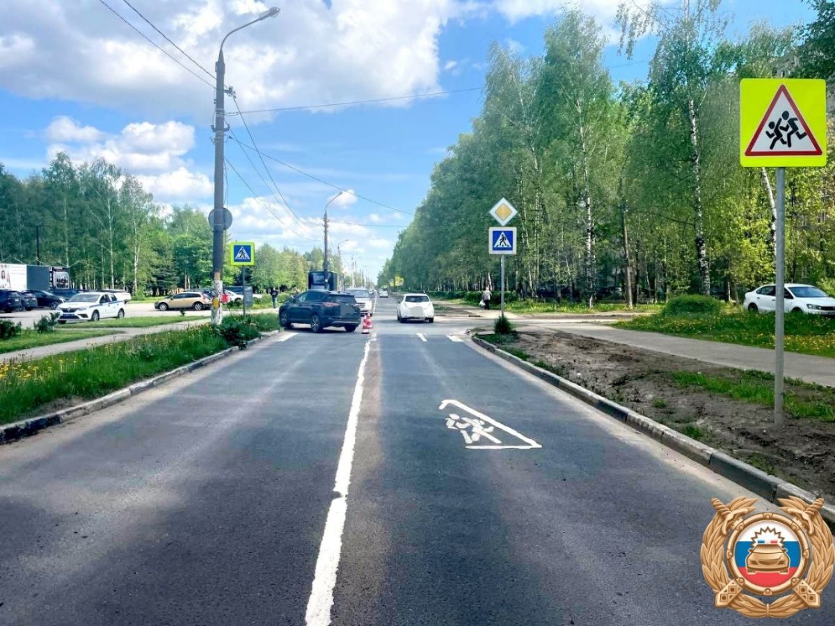 зебре