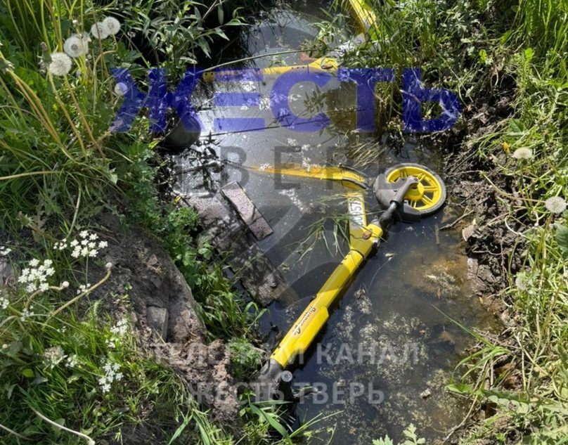 Жители Твери утопили электросамокаты без угрызения совести
