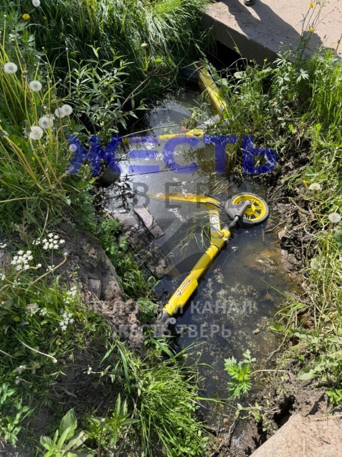 Жители Твери утопили электросамокаты без угрызения совести