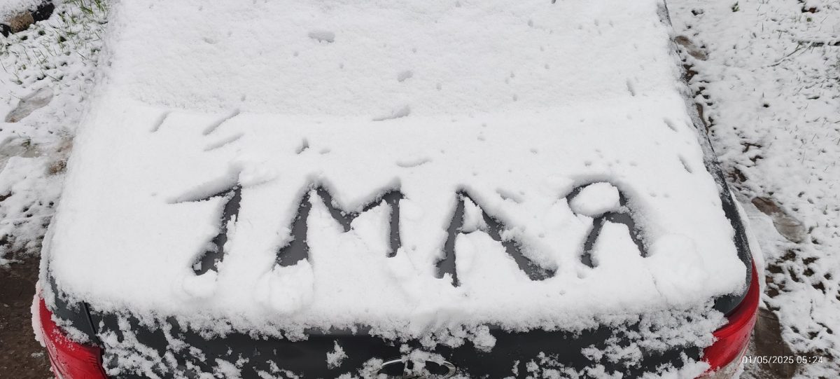 Жители Тверской области делятся фотографиями "майской зимы"