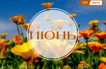 Успеть за 48 часов: законы июня изменят жизнь миллионов россиян законы