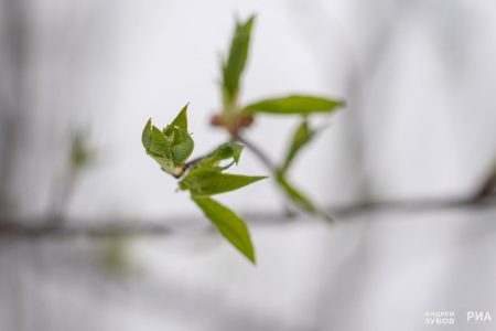 Погода решила испортить начало сезона дачникам Тверской области