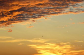 Ночью на Земле началась сильная и длительная магнитная буря буря