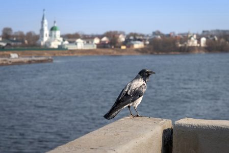 Синоптики изменили прогнозы на май в Тверской области Синоптики изменили прогнозы на май в Тверской области