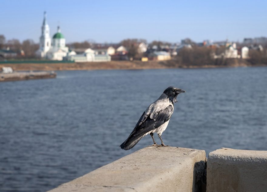 Синоптики изменили прогнозы на май в Тверской области