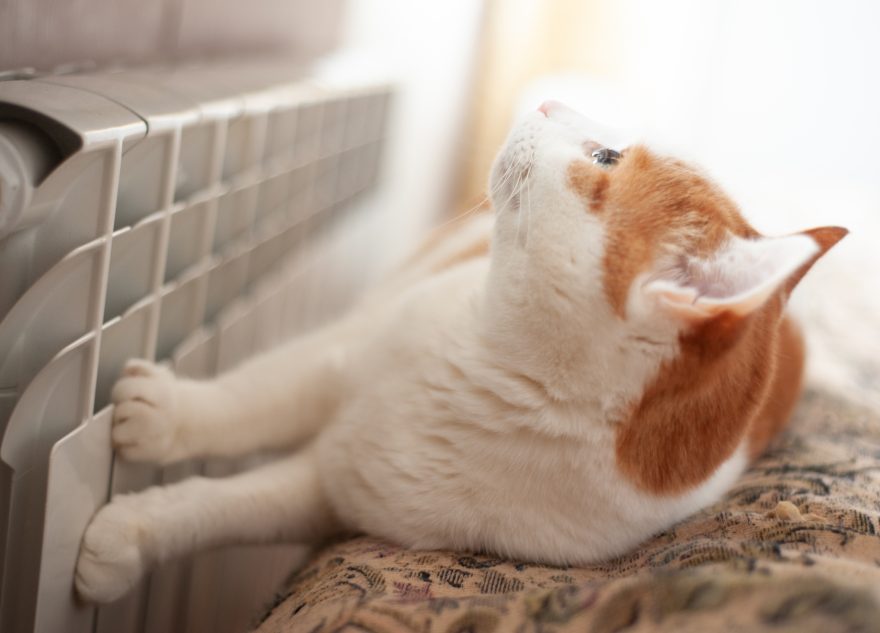 Во многих домах Твери 5 мая не будет отопления