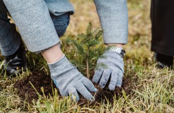 «Аллея Героев»: в Тверской области высаживают деревья в честь защитников Отечества
