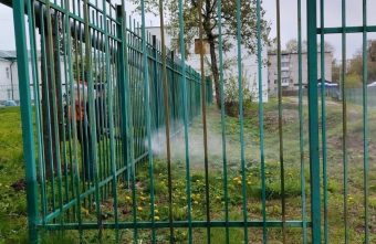 В Тверской области начались работы по уничтожению борщевика В Тверской области начались работы по уничтожению борщевика