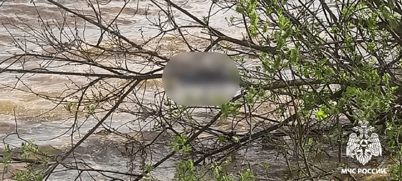 В Тверской области извлекли из водохранилища тело погибшего