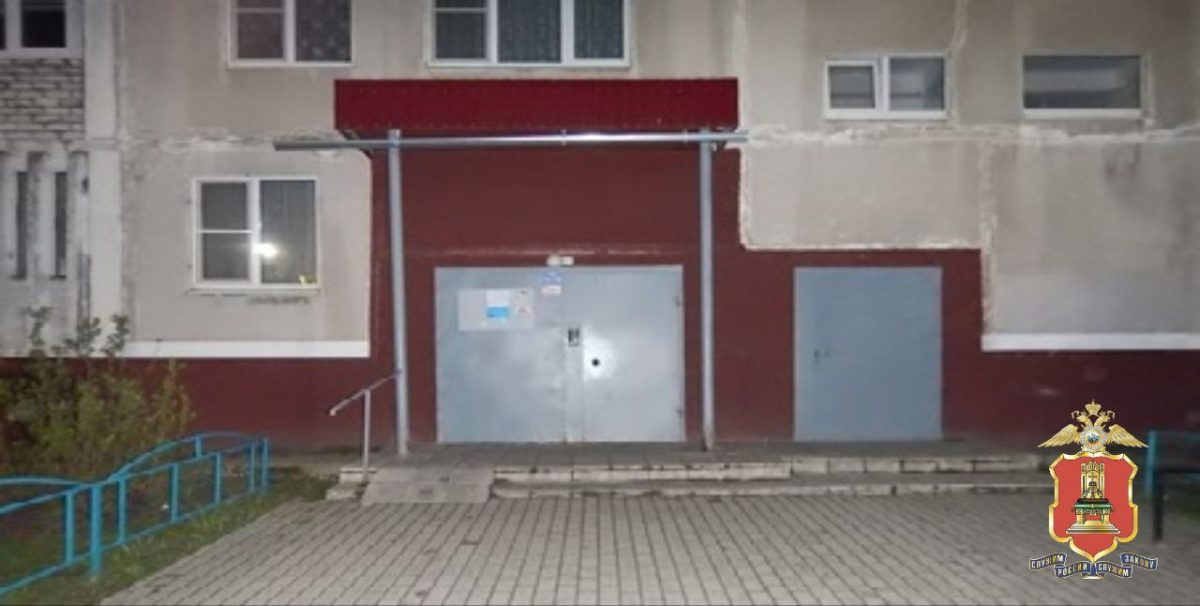 Полиция задержала грабителя в Тверской области