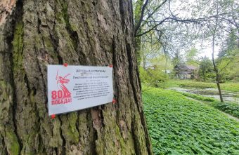 Живую память о Великой Победе хранит сад деревьев-ветеранов в Твери Живую память о Великой Победе хранит сад деревьев-ветеранов в Твери