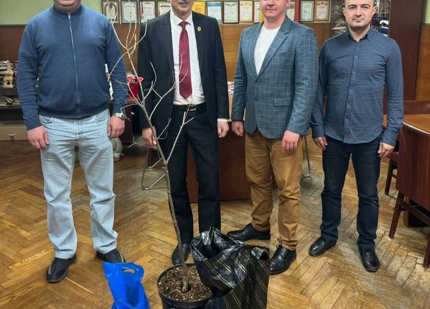 Территория музея в Тверской области пополнилась дубами Территория музея в Тверской области пополнилась дубами