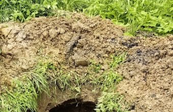 поисковики