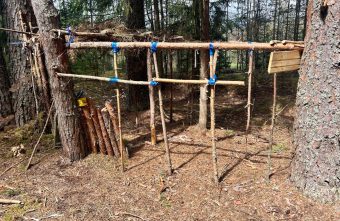 Очевидцы из Тверской области нашли в лесу интересную постройку