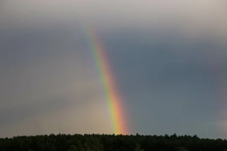 На следующей неделе Тверскую область окончательно зальет