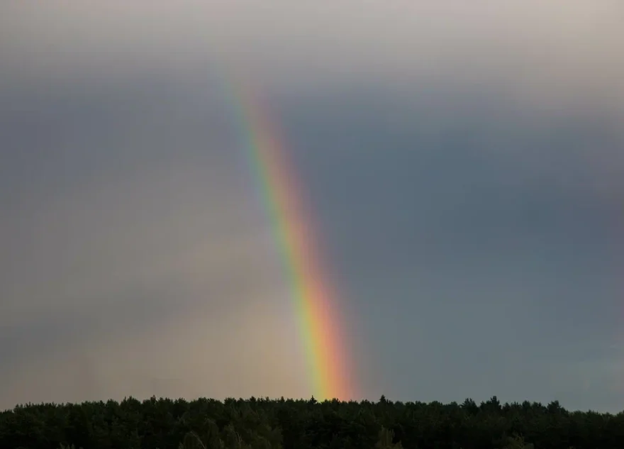На следующей неделе Тверскую область окончательно зальет