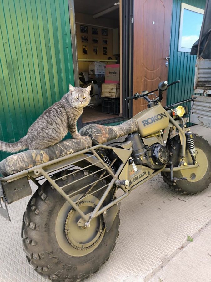 гуманитарный груз