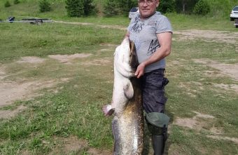 В Тверской области поймали еще одну гигантскую рыбу рыбу