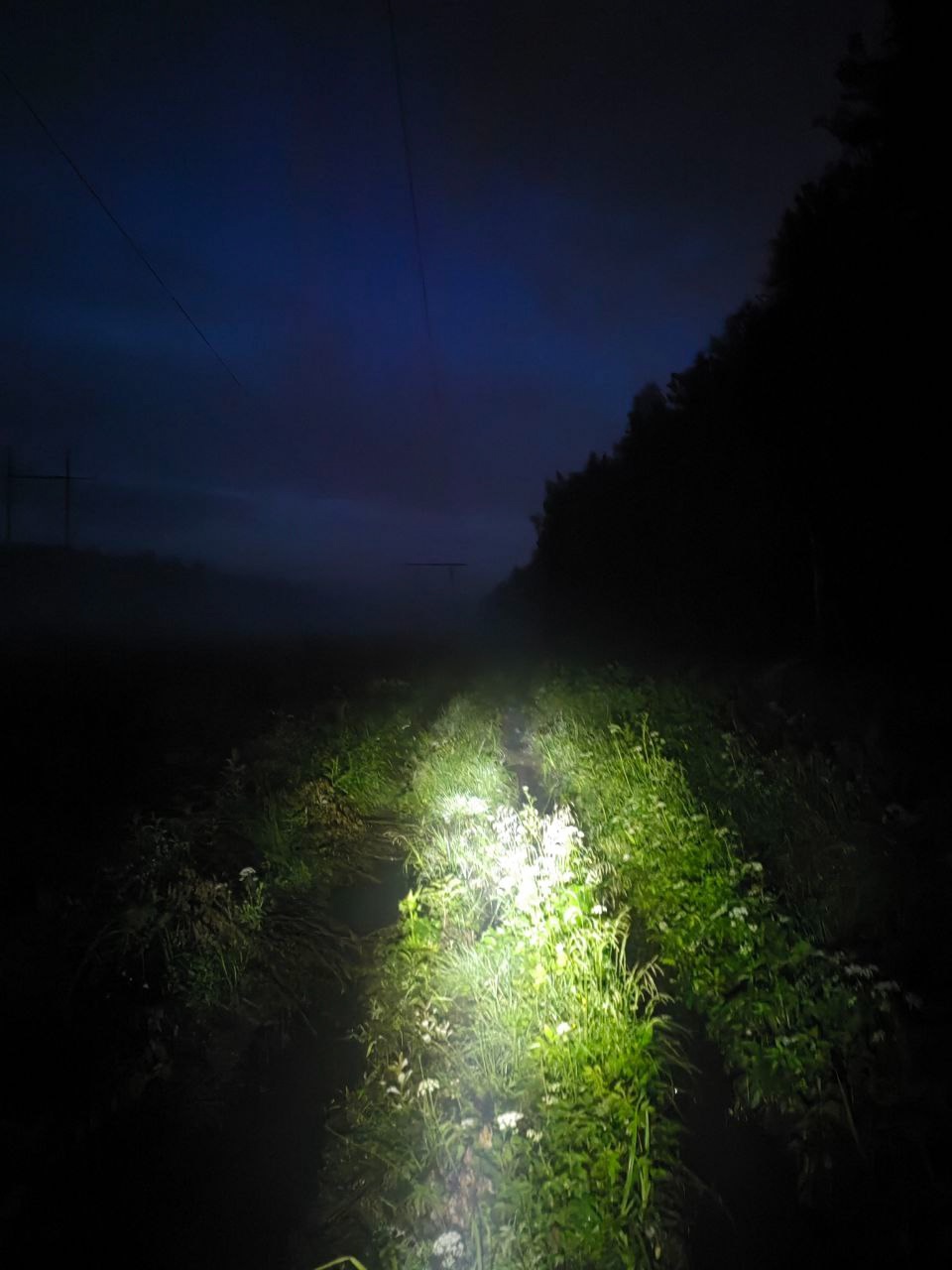 В Тверской области продолжаются поиски дедушки, пропавшего три дня назад